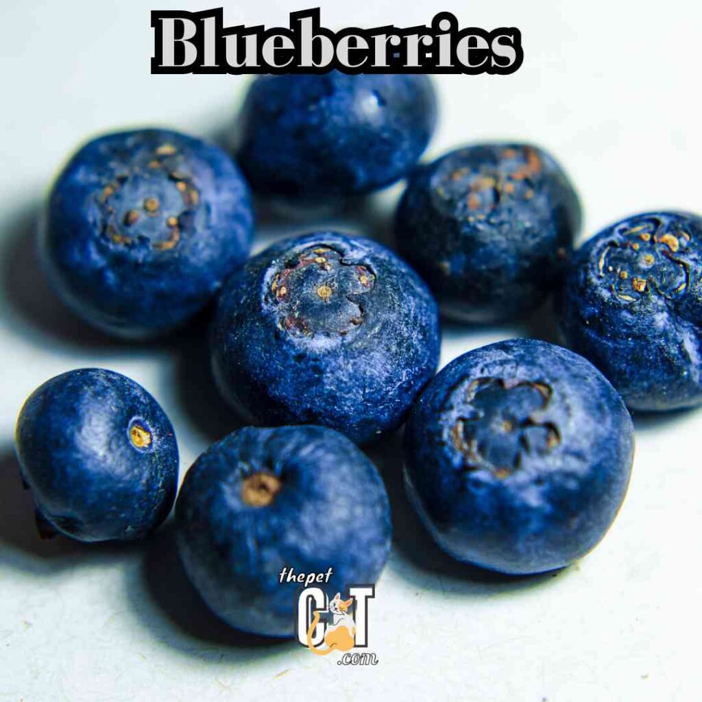 Blueberries