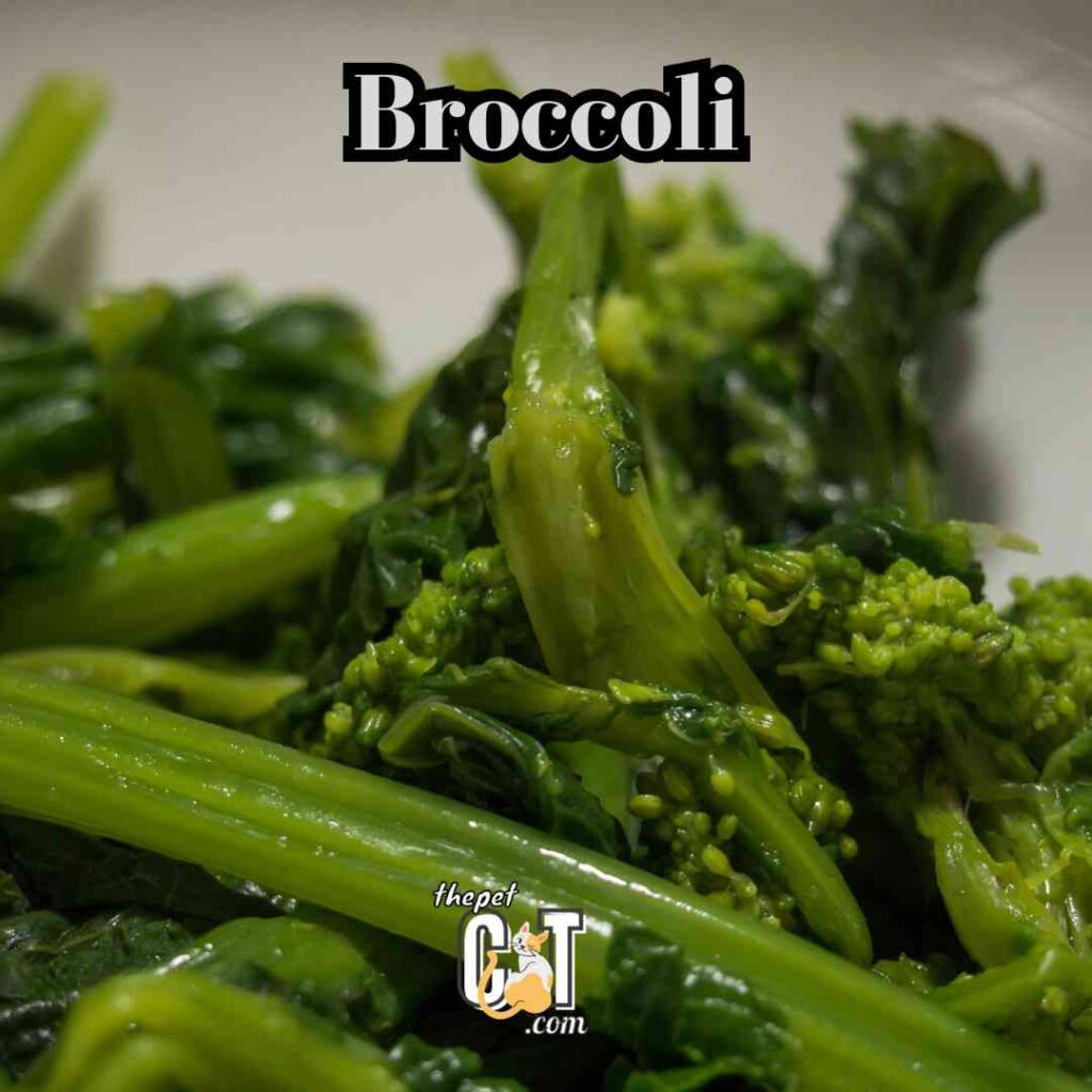 Broccoli