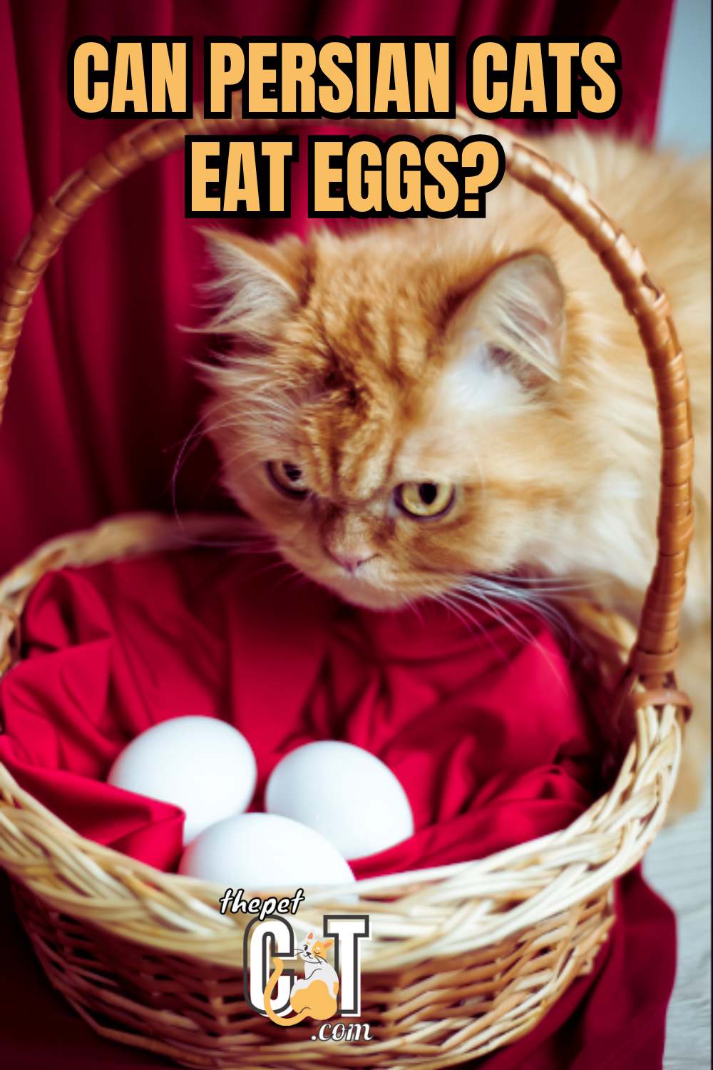 Can Persian cats eat eggs