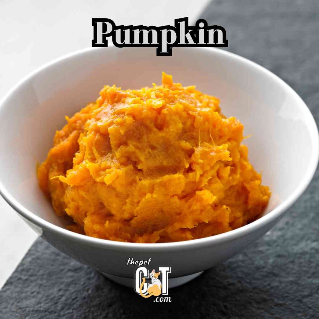 Pumpkin