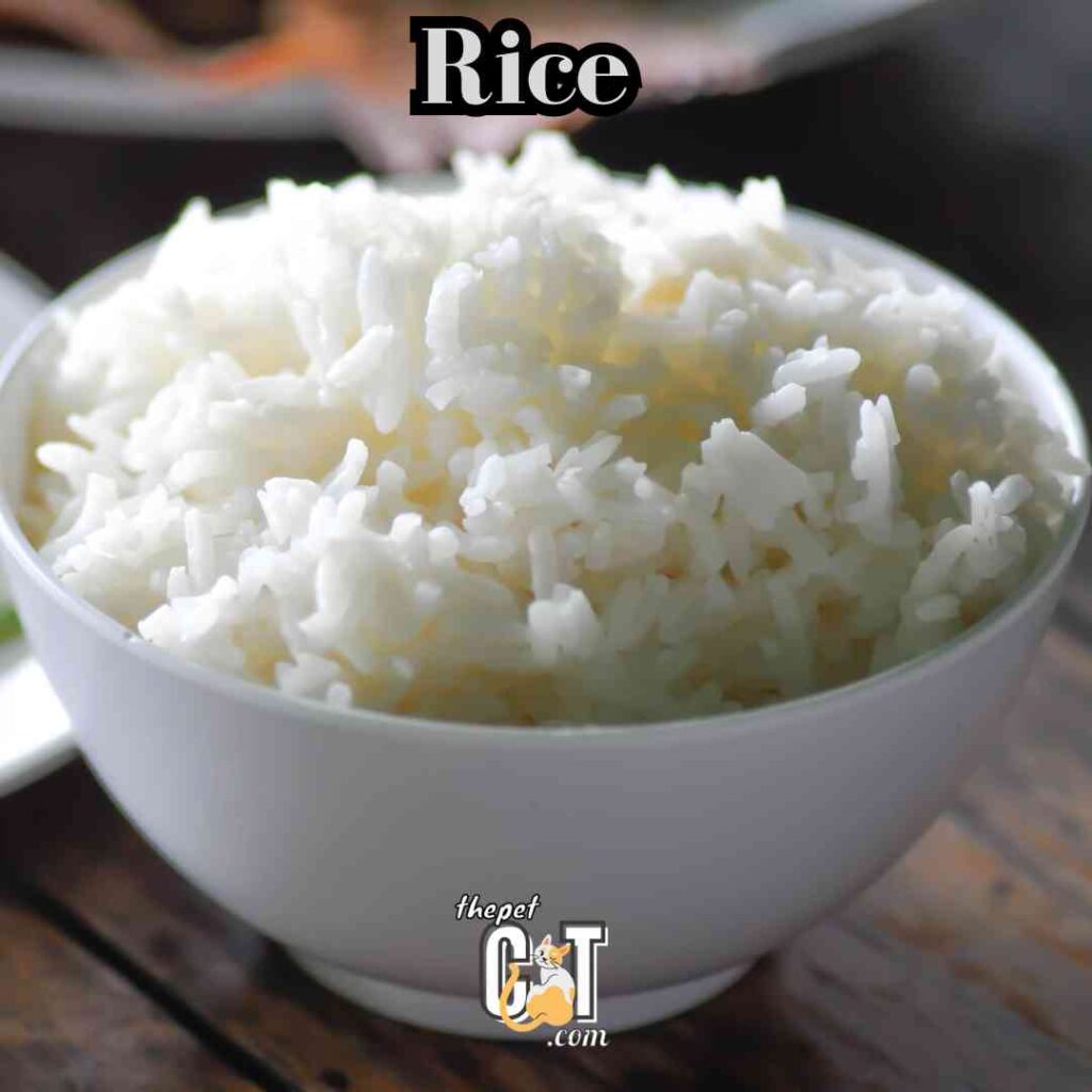 Rice