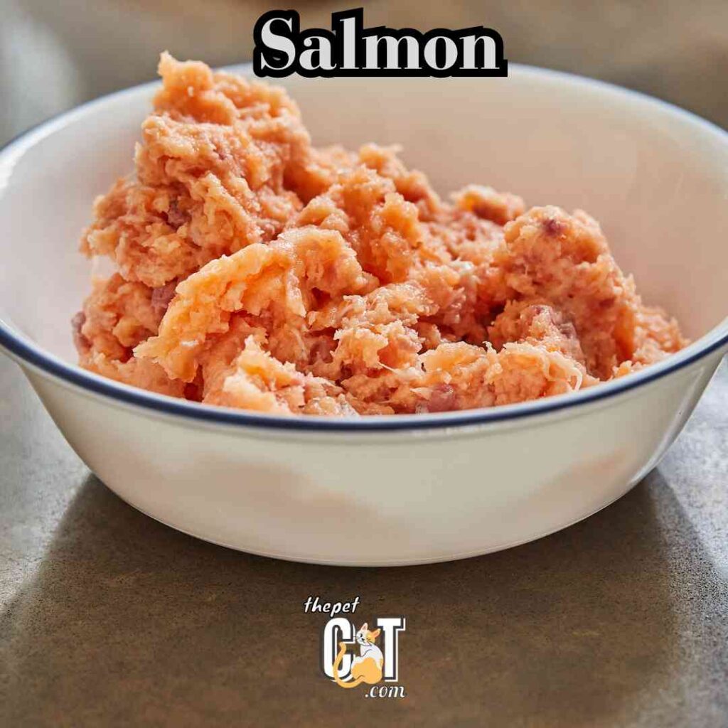 Salmon