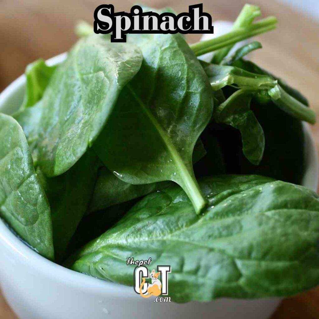 Spinach