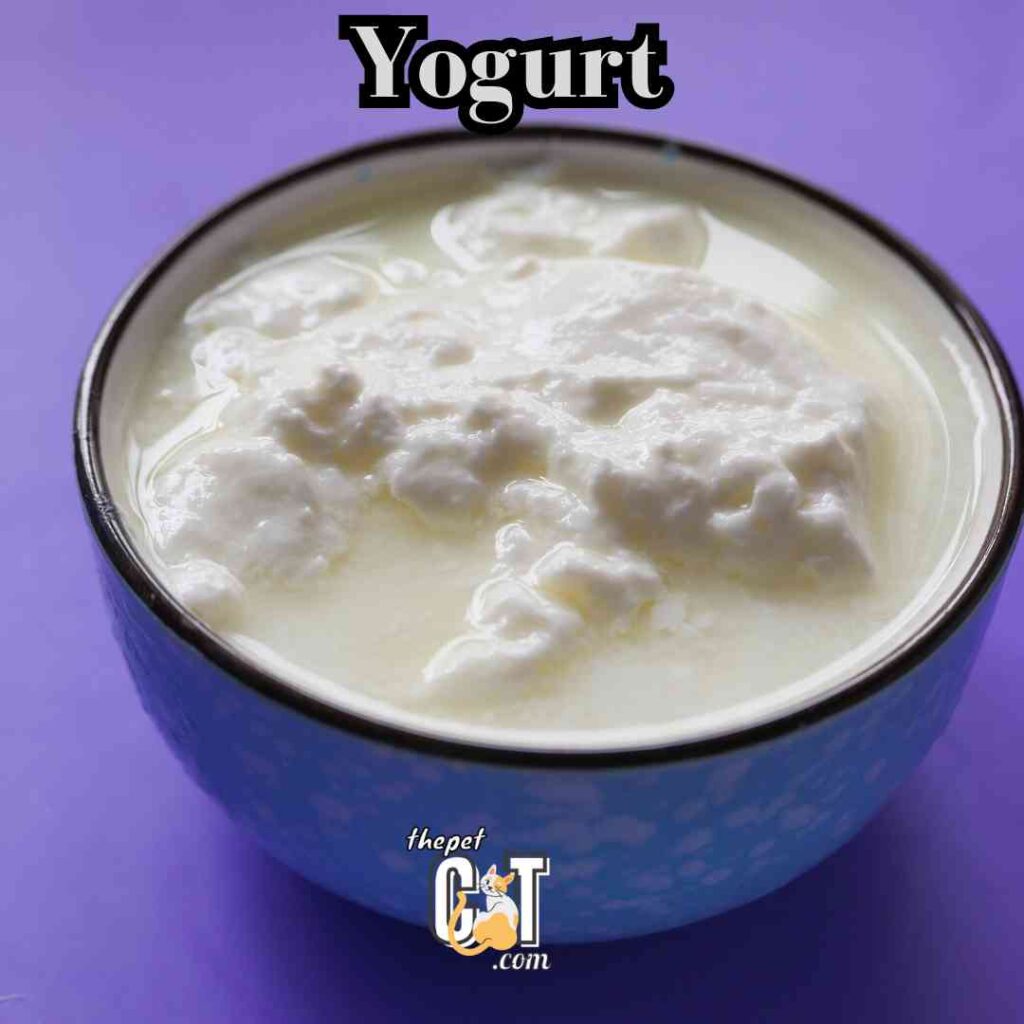  Yogurt