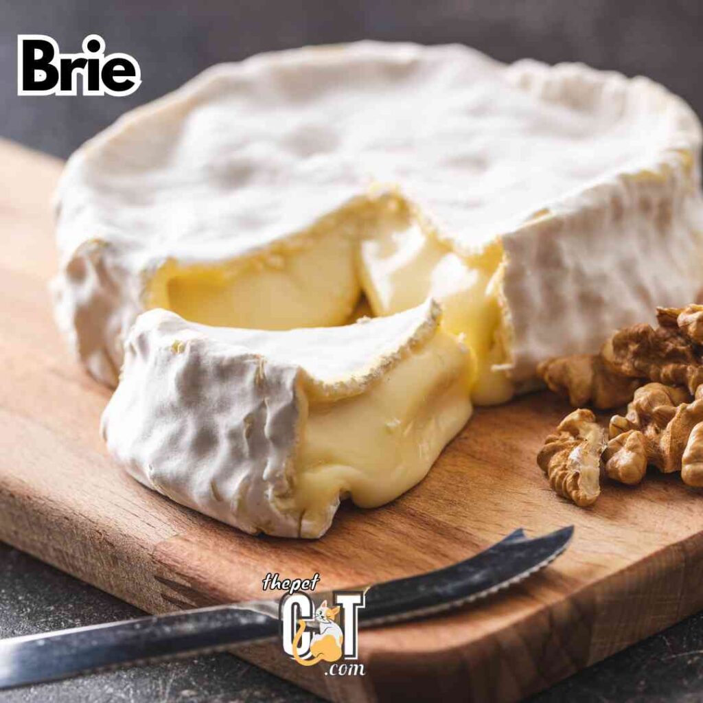 Brie