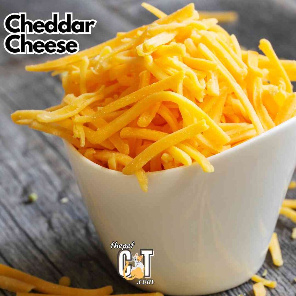 Cheddar Cheese