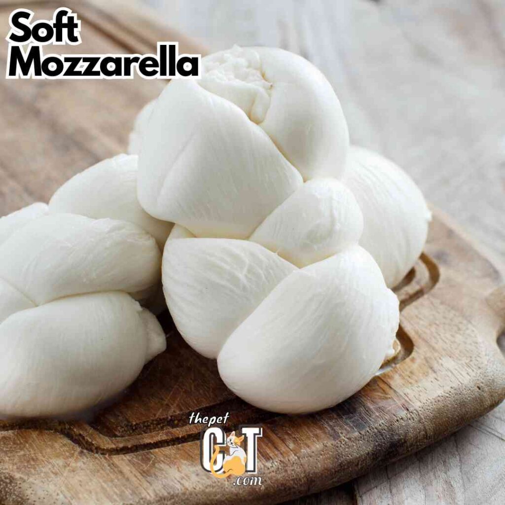 Soft Mozzarella 