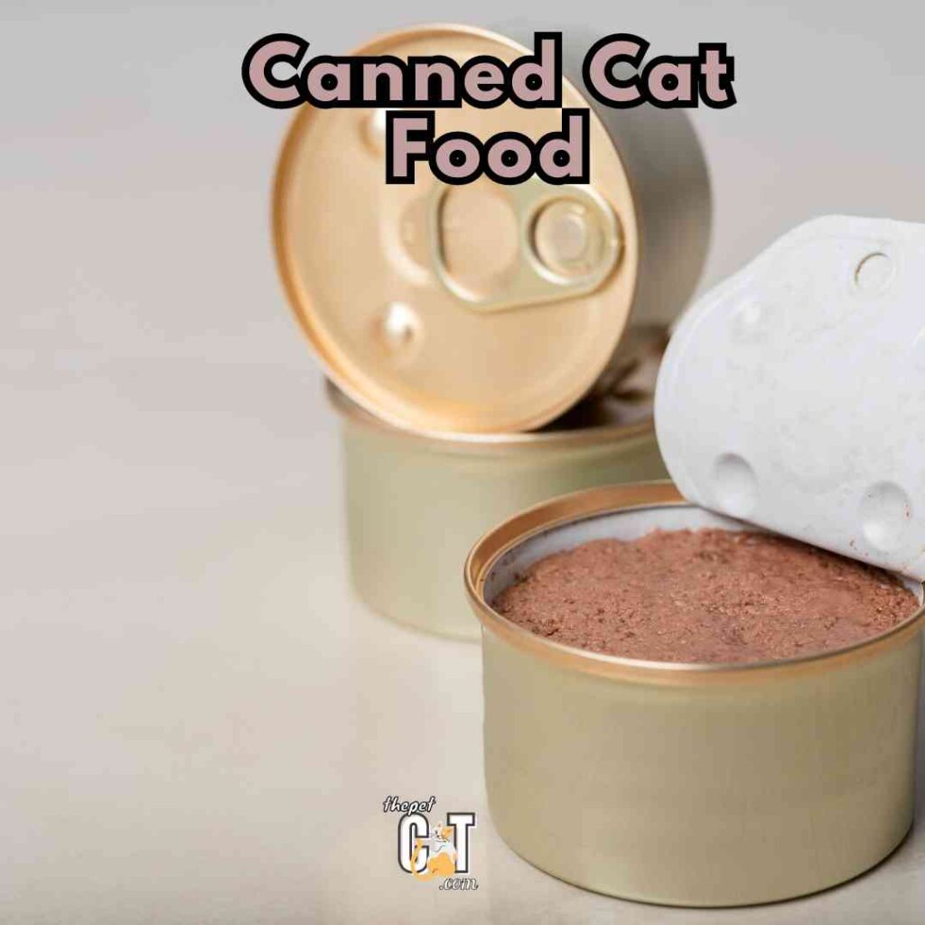 Canned Cat Food