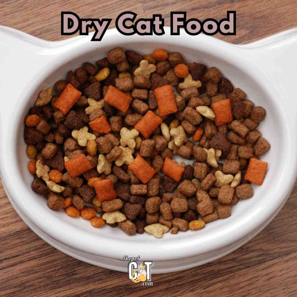  Dry Cat Food