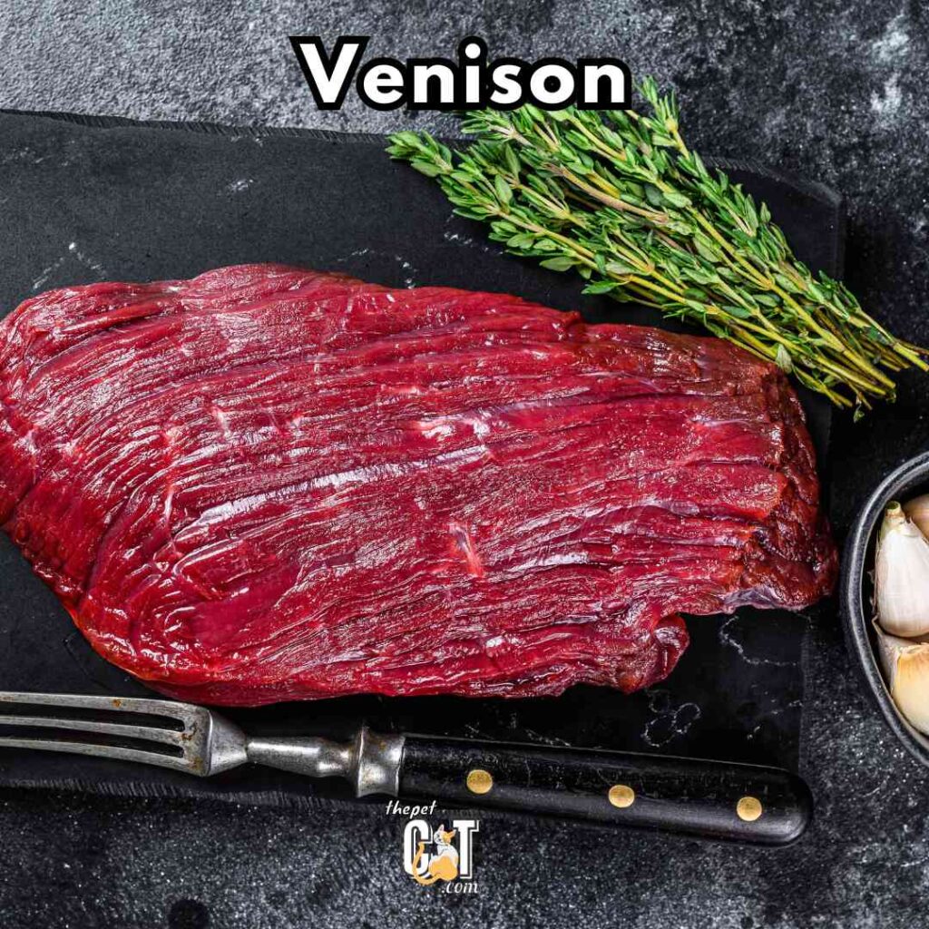 Venison