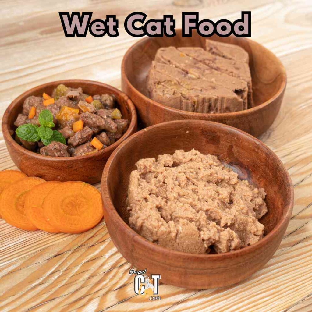 Wet Cat Food